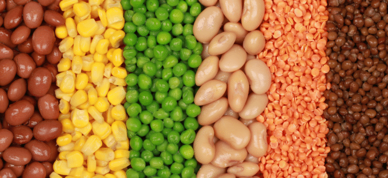 Export of Pulses from India